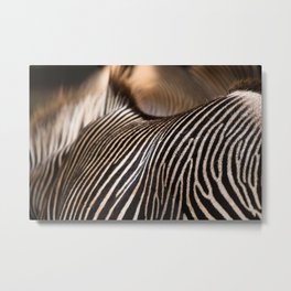 Zebra stripes Metal Print | Big, Abstract, Photo, Animal, Sabana, Savage, Zoo, Black And White, Wild, Abstracts 
