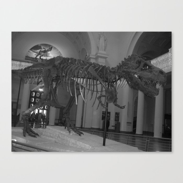 T-Rex museum dinosaur, skeleton, bone, fossil black and white photograph - photography - photographs Canvas Print