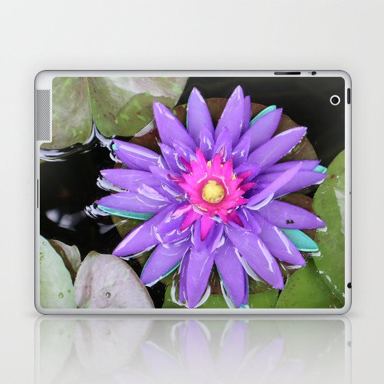 Purple turquoise aquatic waterlily lotus flower in full bloom water in Thailand Laptop & iPad Skin