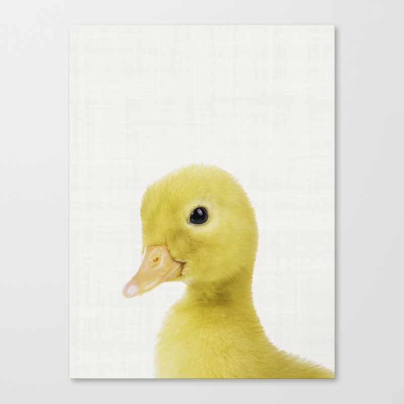 Baby Yellow Duck Nursery Animal Print Nursery Decor Animal Art Baby Animals Canvas Print By Paris17 Society6
