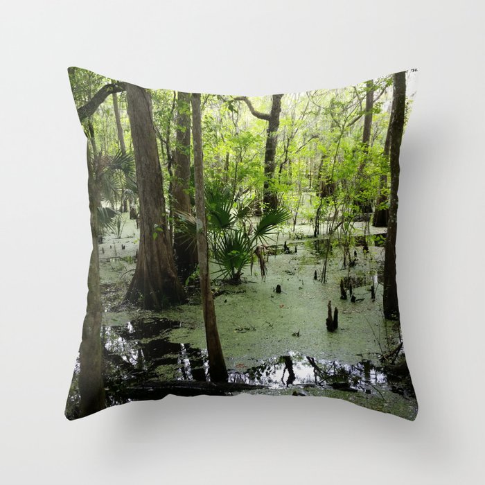 Throw Pillow