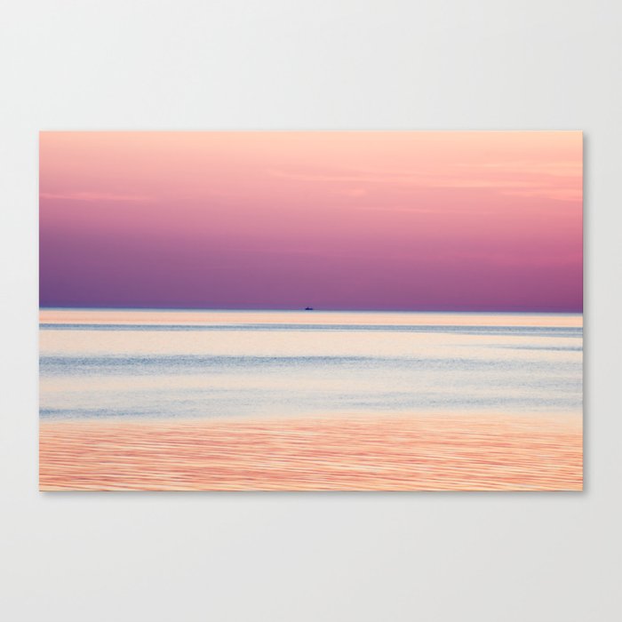Solo Pink Canvas Print