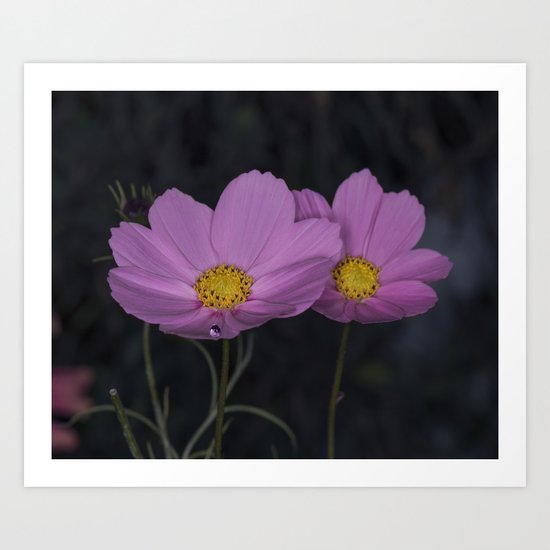 Cosmos water drop Art Print