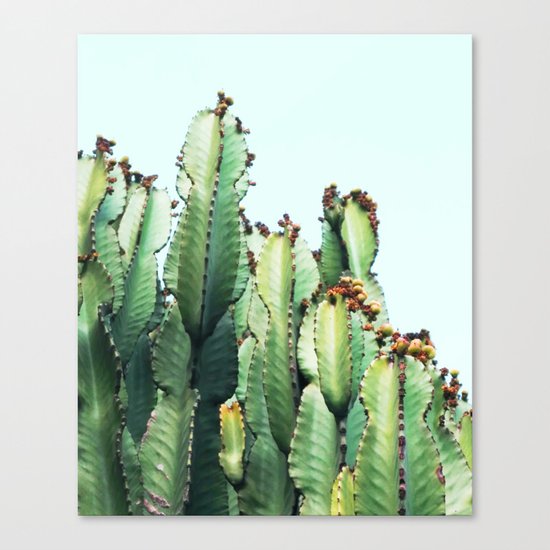 Cactus Love #society6 #decor #buyart Canvas Print