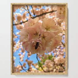 Bee in Cherry Blossom Serving Tray