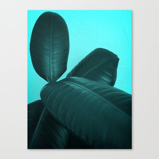 Ficus Elastica #3 #art #society6 Canvas Print