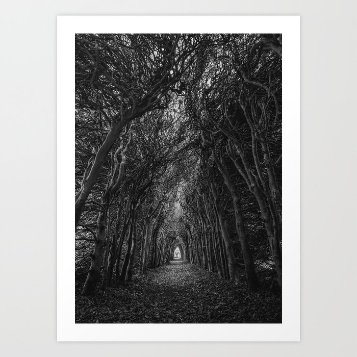 Tunnel of love; Diepenveen, Overste, Netherlands tunnel of trees art portrait nature black and white photograph / photography Art Print