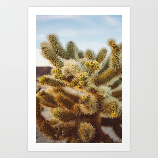 Cholla Cactus Garden IV Art Print