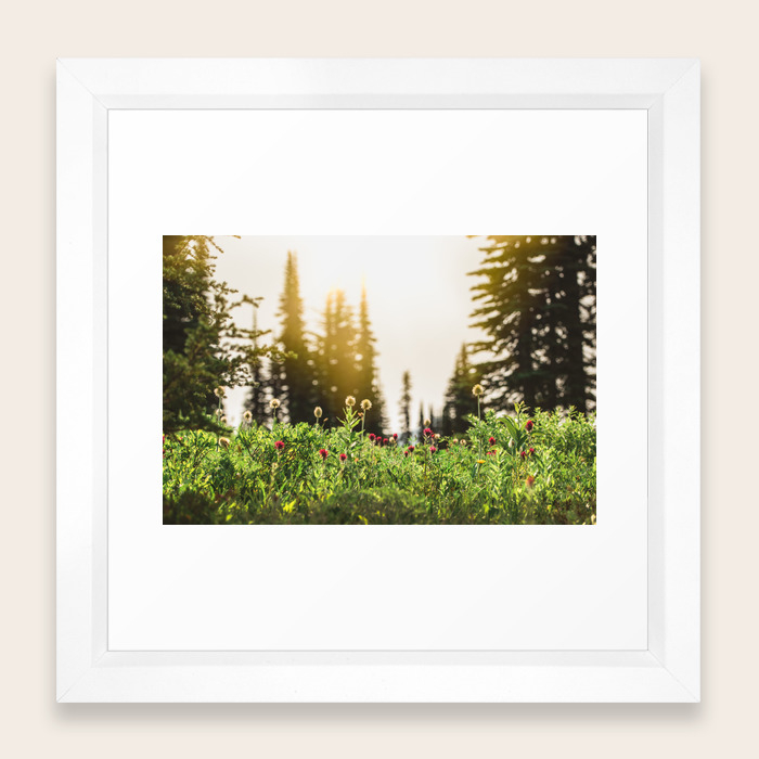 Mountain Meadow Flowers 13 365 Framed Art Print By Cascadia