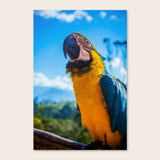 Colombia Canvas Print