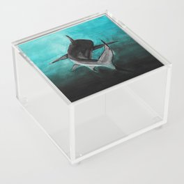 turquoise dreams  Acrylic Box