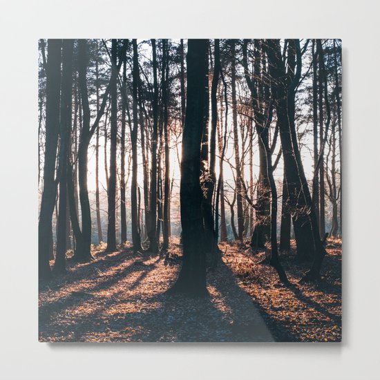 We're All Wild Metal Print