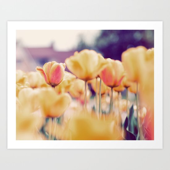 Tulips Art Print