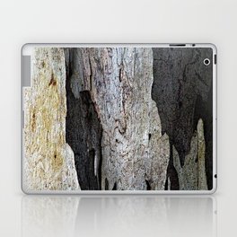 Eucalyptus Tree Bark and Wood Abstract Natural Texture 63 Laptop Skin