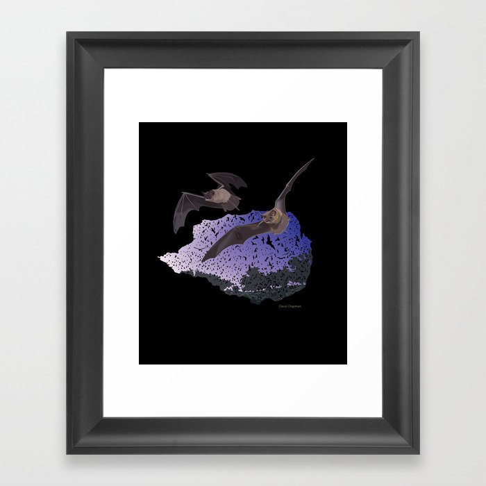 Bracken Cave Bats Framed Art Print