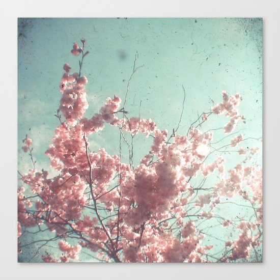 Candy Floss Canvas Print
