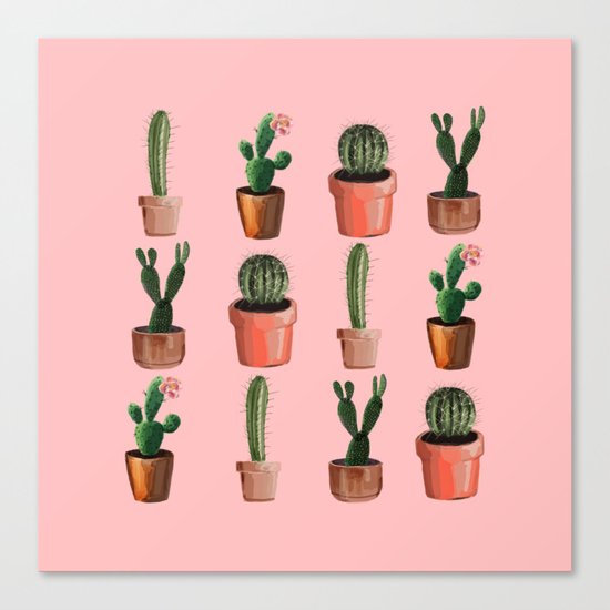 Various Cacti Pink Canvas Print