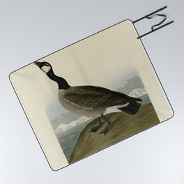 Vintage Bird Print - Birds of America - 277 Hutchins's Barnacle Goose (1838) Picnic Blanket