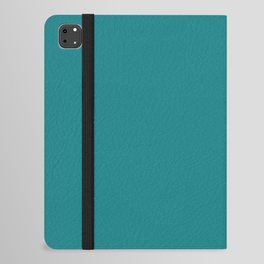 Spring 2 tones Blue & Pink iPad Folio Case