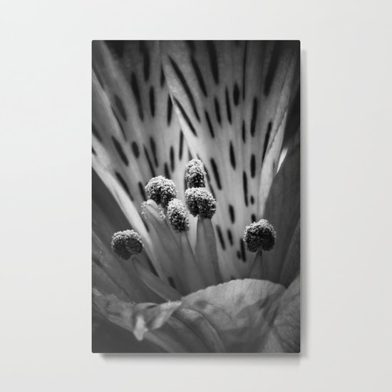 center stage in black and white Metal Print