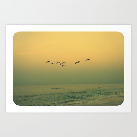 Birds Art Print