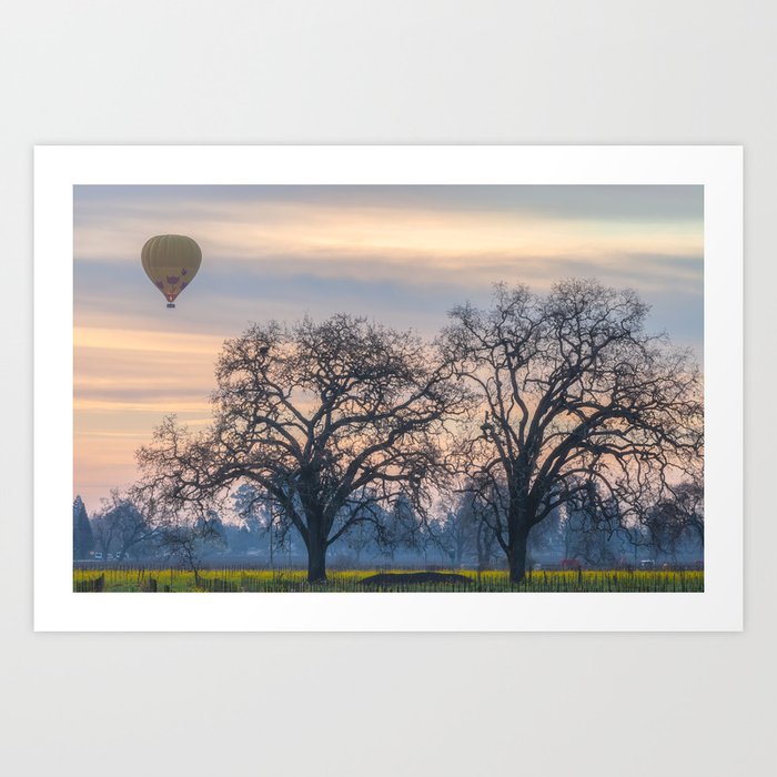 Hot Air Balloon over Napa Art Print