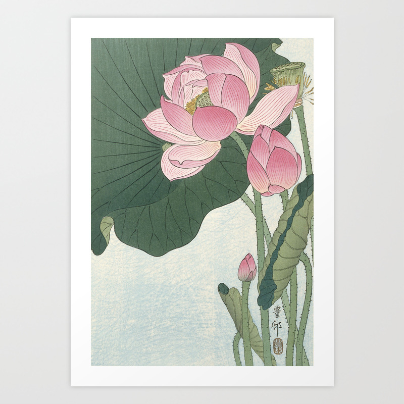 Flowering Lotus Flowers Ohara Koson Art Print