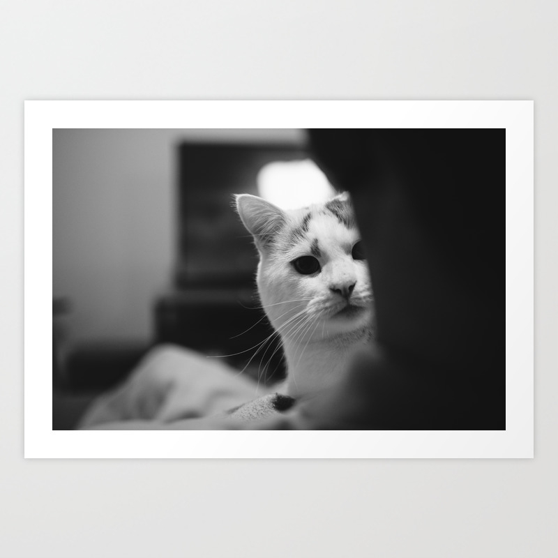 Cat Peeking Over Owner S Shoulder Black White Art Print By