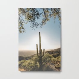 Arizona Saguaro Cactus Metal Print