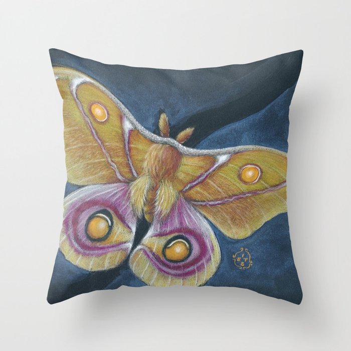 Bull’s Eye Madagascar Silk Moth Mixed Media Art Throw Pillow