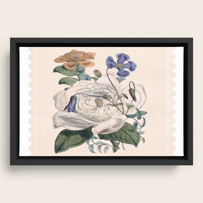 Framed Canvas
