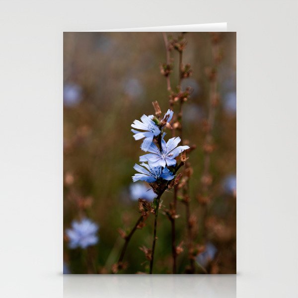 blue wildflowers Stationery Cards