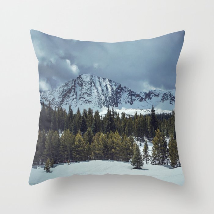 Throw Pillow