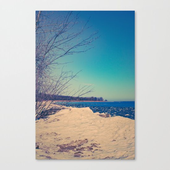 Winter Romance Canvas Print