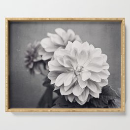 Black and White Dahlia Flower Photography, Grey Floral, Gray Neutral Nature Petals Serving Tray