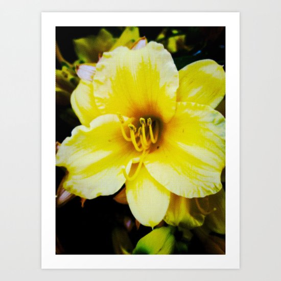 Slow Wilting Beauty Art Print