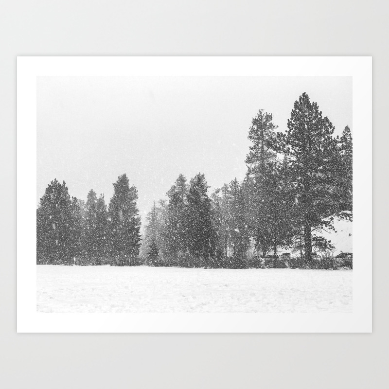 Snow Days Snowy Tree Black And White Winter Landscape