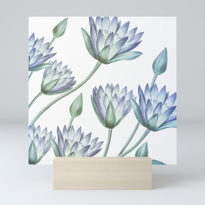 Water Lily Blue Mini Art Print