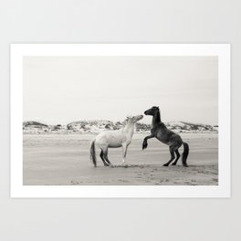 Wild Horses 4 - Black and White Art Print