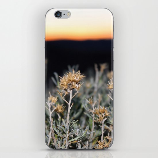 Sagebrush iPhone Skin