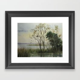 Lake Apopka Afternoon Framed Art Print