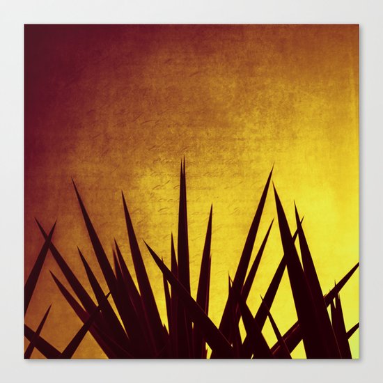 Yucca Sunset Canvas Print