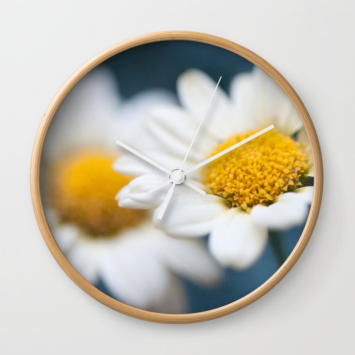 Spring Love #2 - White Marguerite Daisy Flower #decor #art #society6 Wall Clock