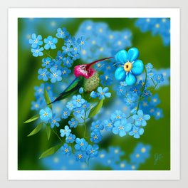 Clown hummingbird and forget me not flowers Art Print