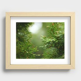 Evergreen Rainy Bokeh Recessed Framed Print