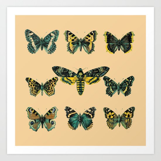 Butterflies and Moth of Europe Art Print