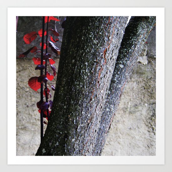 Urban tree with red leaves Art Print