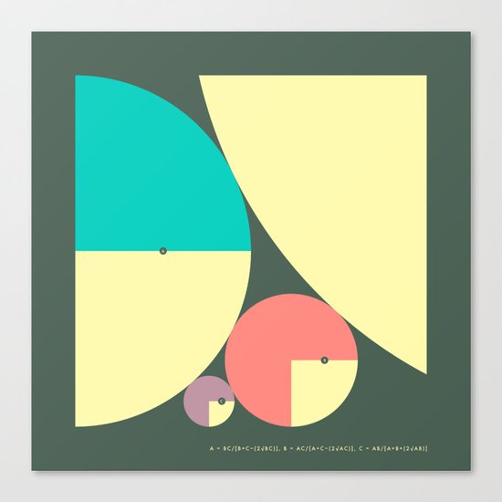 DESCARTES' THEOREM Canvas Print