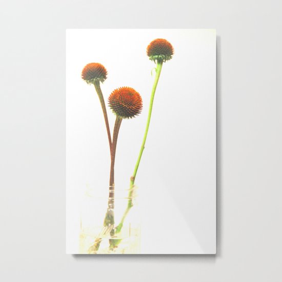 In the Simple Things Metal Print