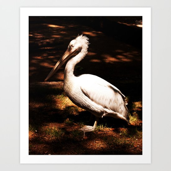 Basking #6 Art Print